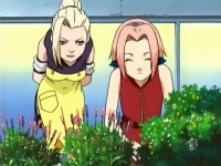 ino e sakura